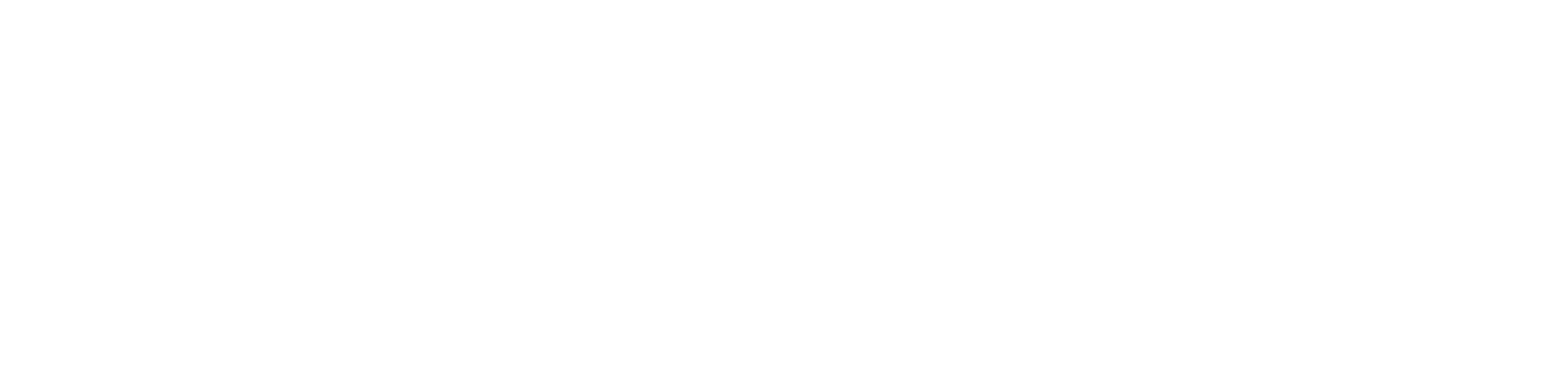 GVINCII Mobile Detailing